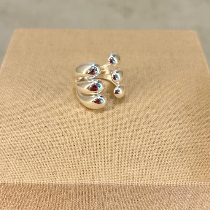 Anillo de plata