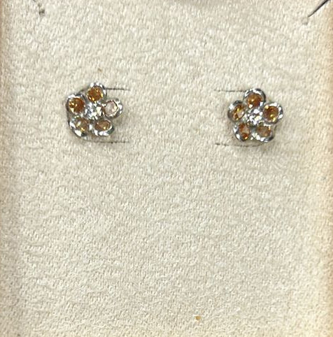 Pendientes plata